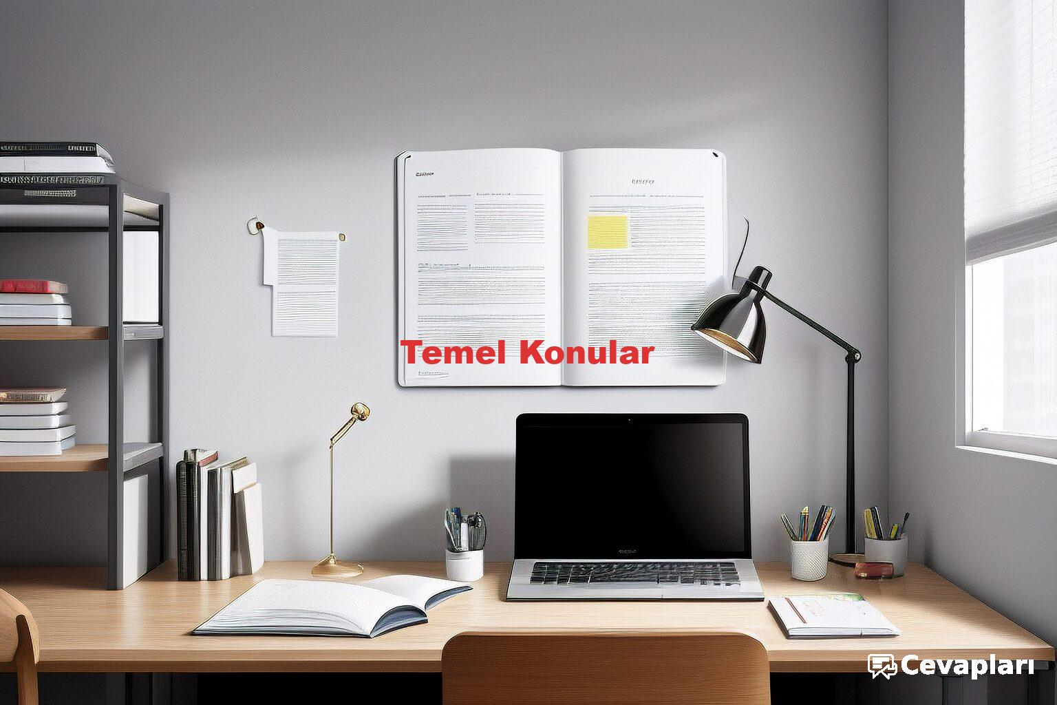 Temel Konular