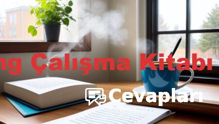 11 Sınıf İng Çalışma Kitabı Cevapları