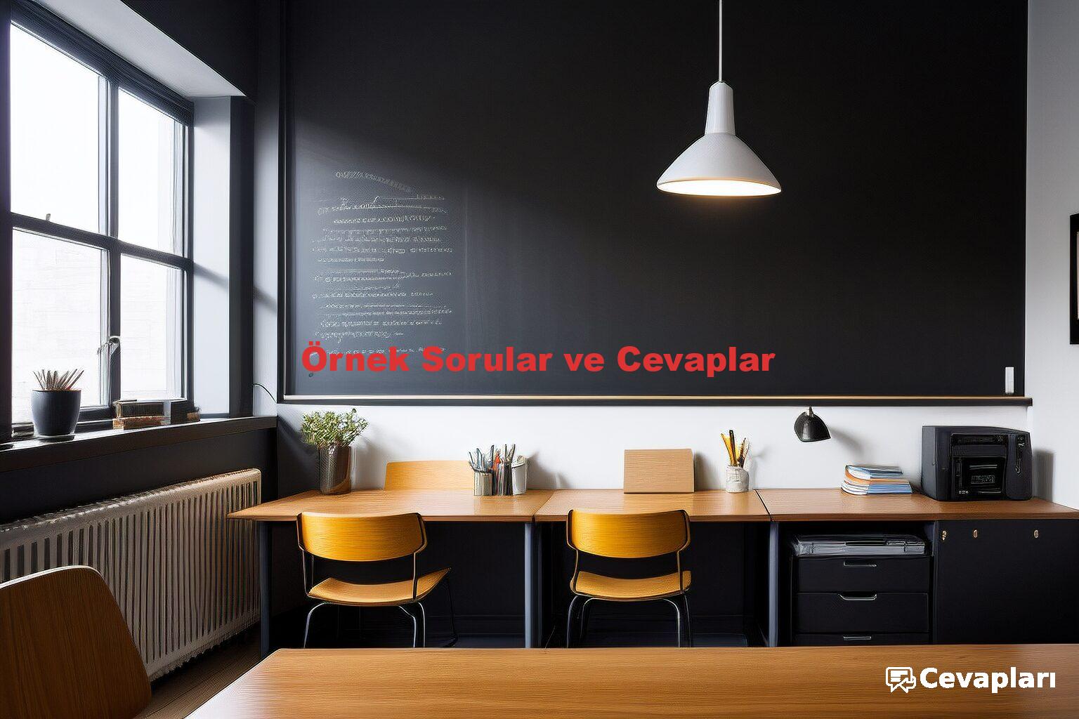 Örnek Sorular ve Cevaplar