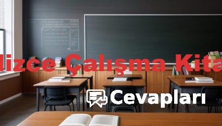 11 Sınıf İngilizce Çalışma Kitabı Cevapları