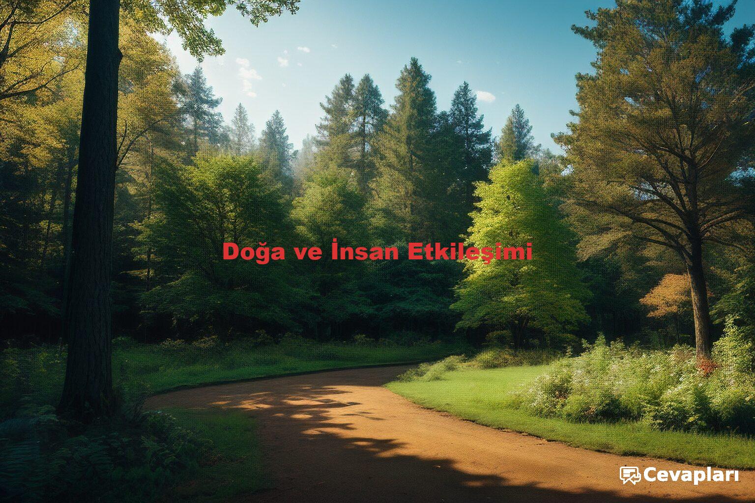 Doğa ve İnsan Etkileşimi