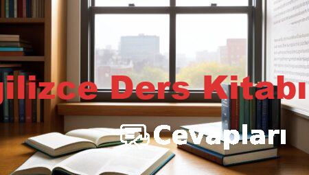 3 Sınıf İngilizce Ders Kitabı Cevapları