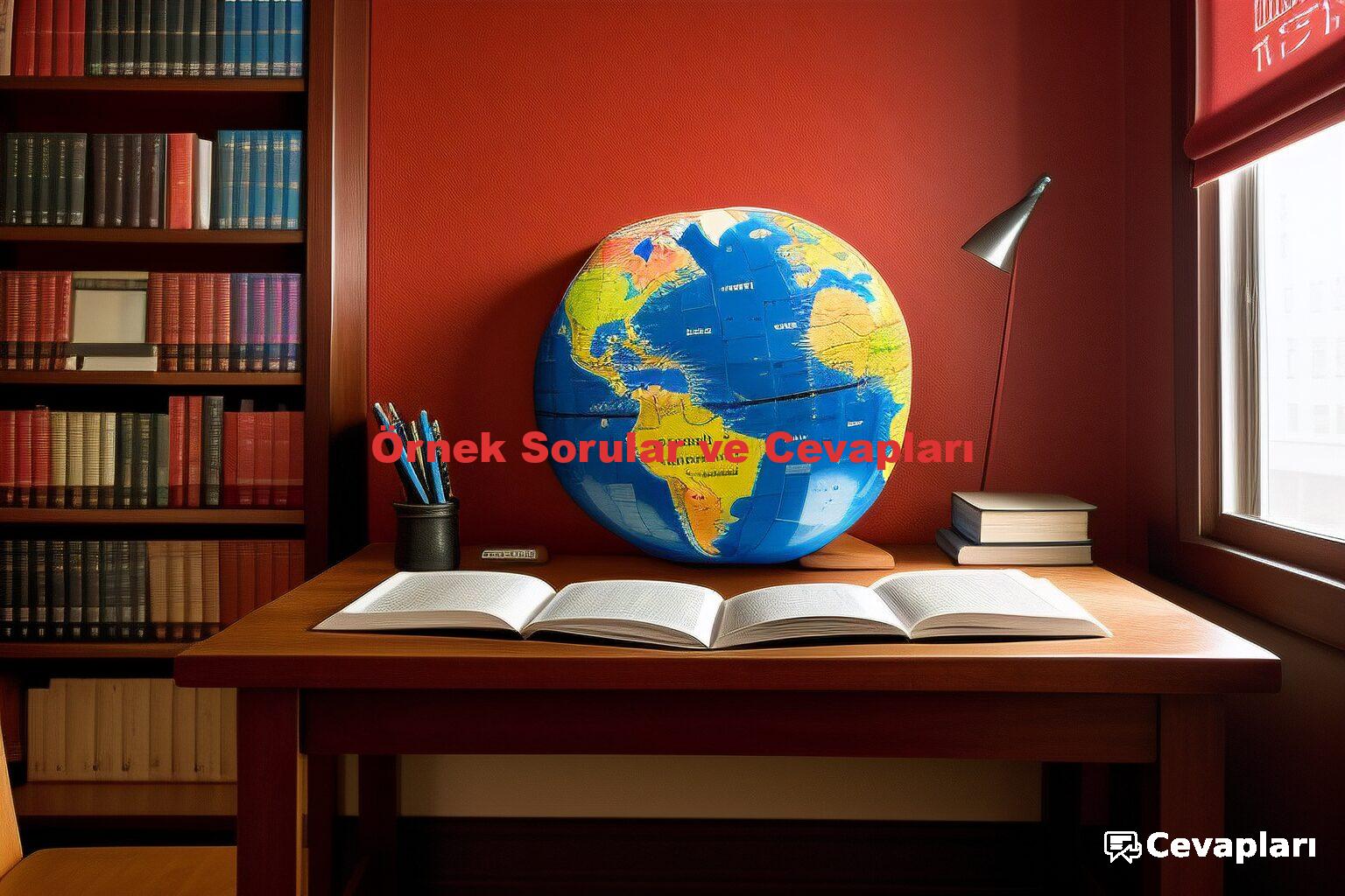 Örnek Sorular ve Cevapları