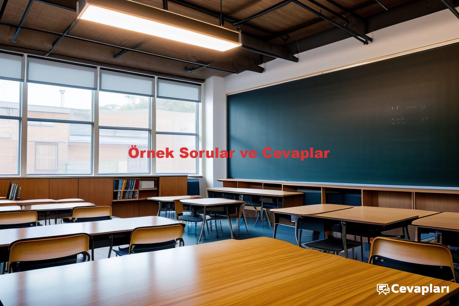 Örnek Sorular ve Cevaplar