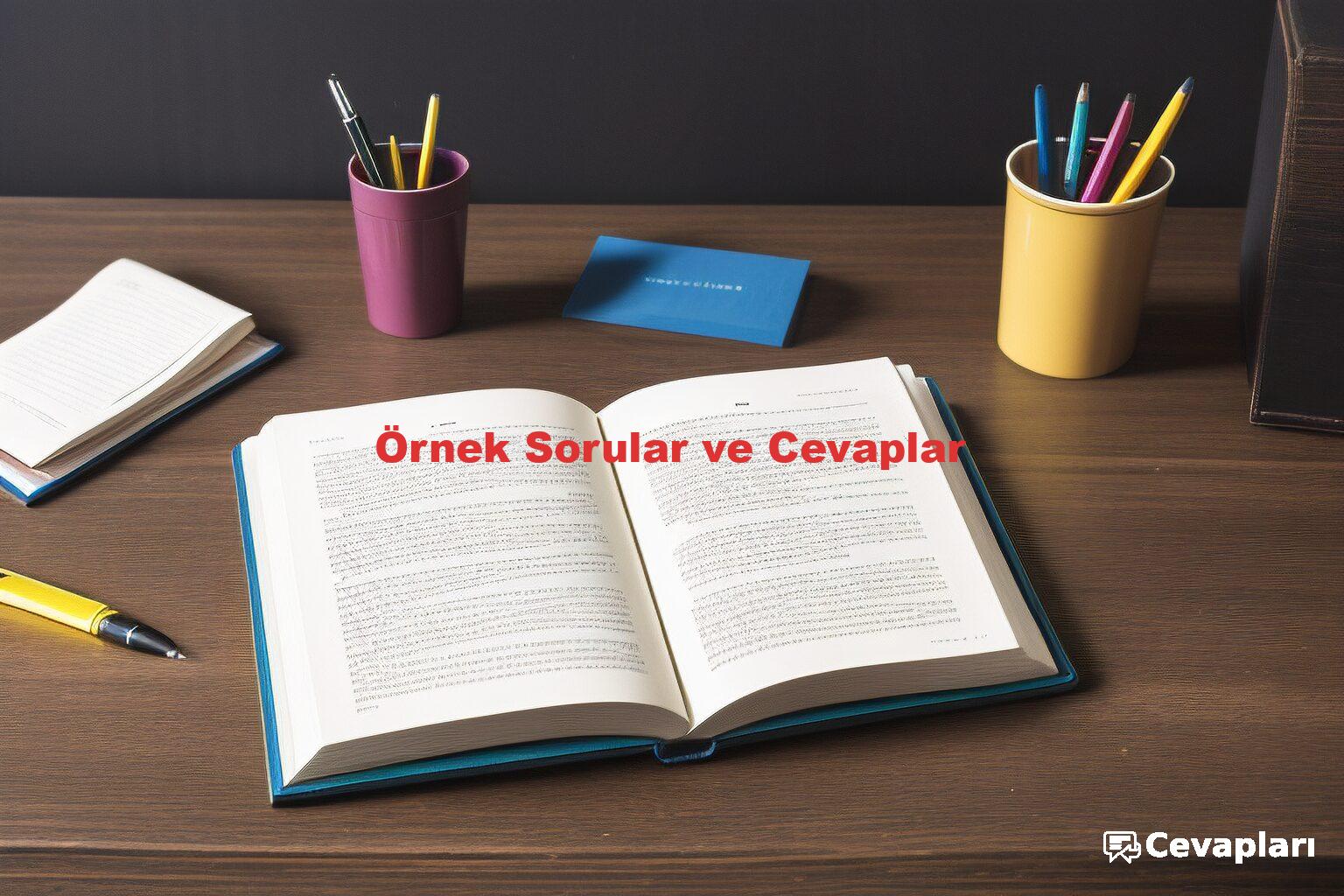 Örnek Sorular ve Cevaplar