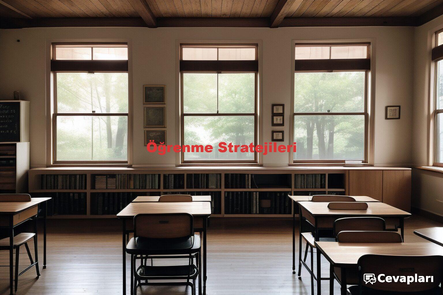 Öğrenme Stratejileri