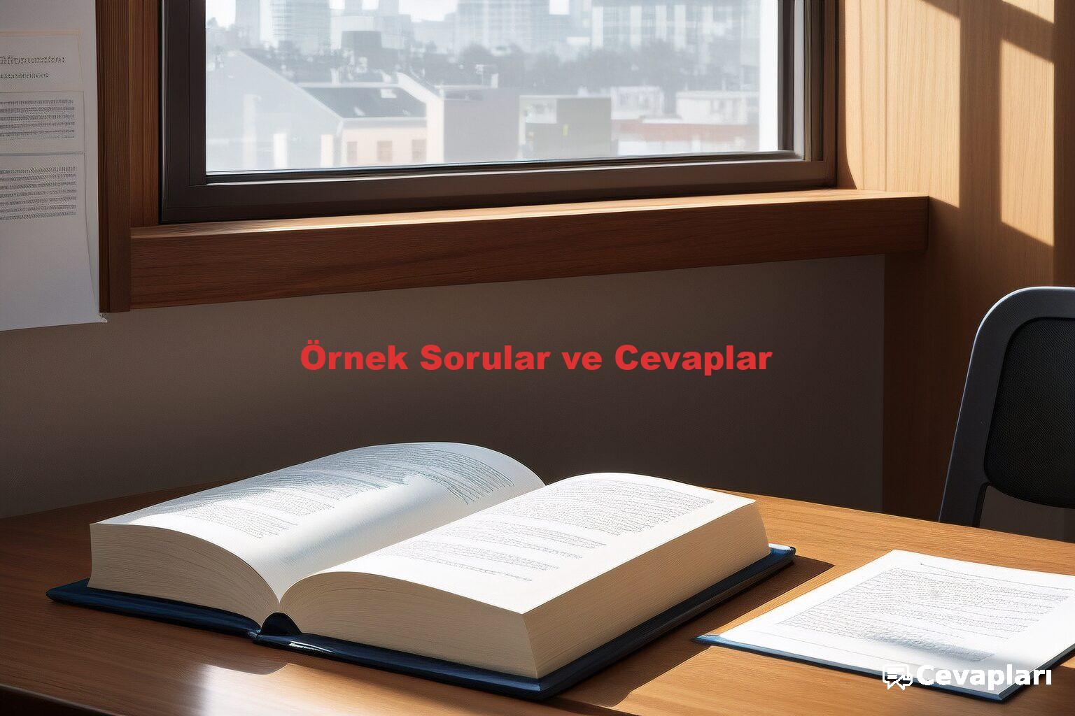 Örnek Sorular ve Cevaplar