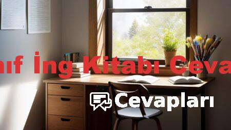 9 Sınıf İng Kitabı Cevapları
