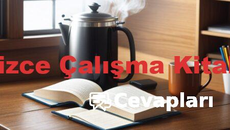 9 Sınıf İngilizce Çalışma Kitabı Cevapları