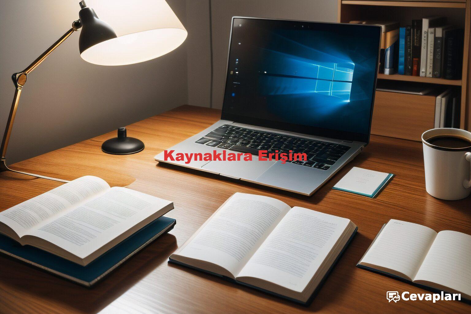 Kaynaklara Erişim