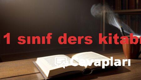 edebiyat 11 sınıf ders kitabı cevapları