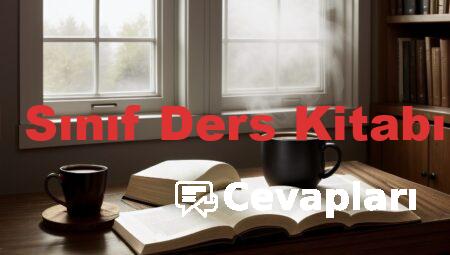 Felsefe 11 Sınıf Ders Kitabı Cevapları