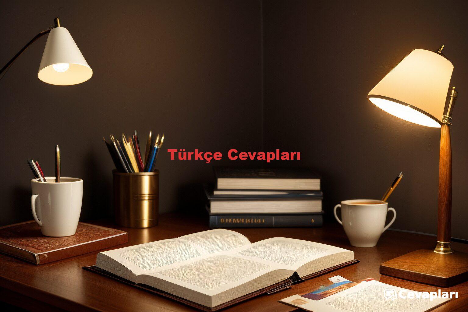 Türkçe Cevapları