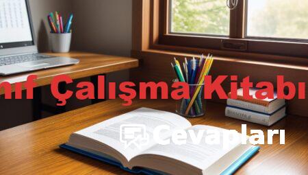 İngilizce 11. Sınıf Çalışma Kitabı Cevapları MEB