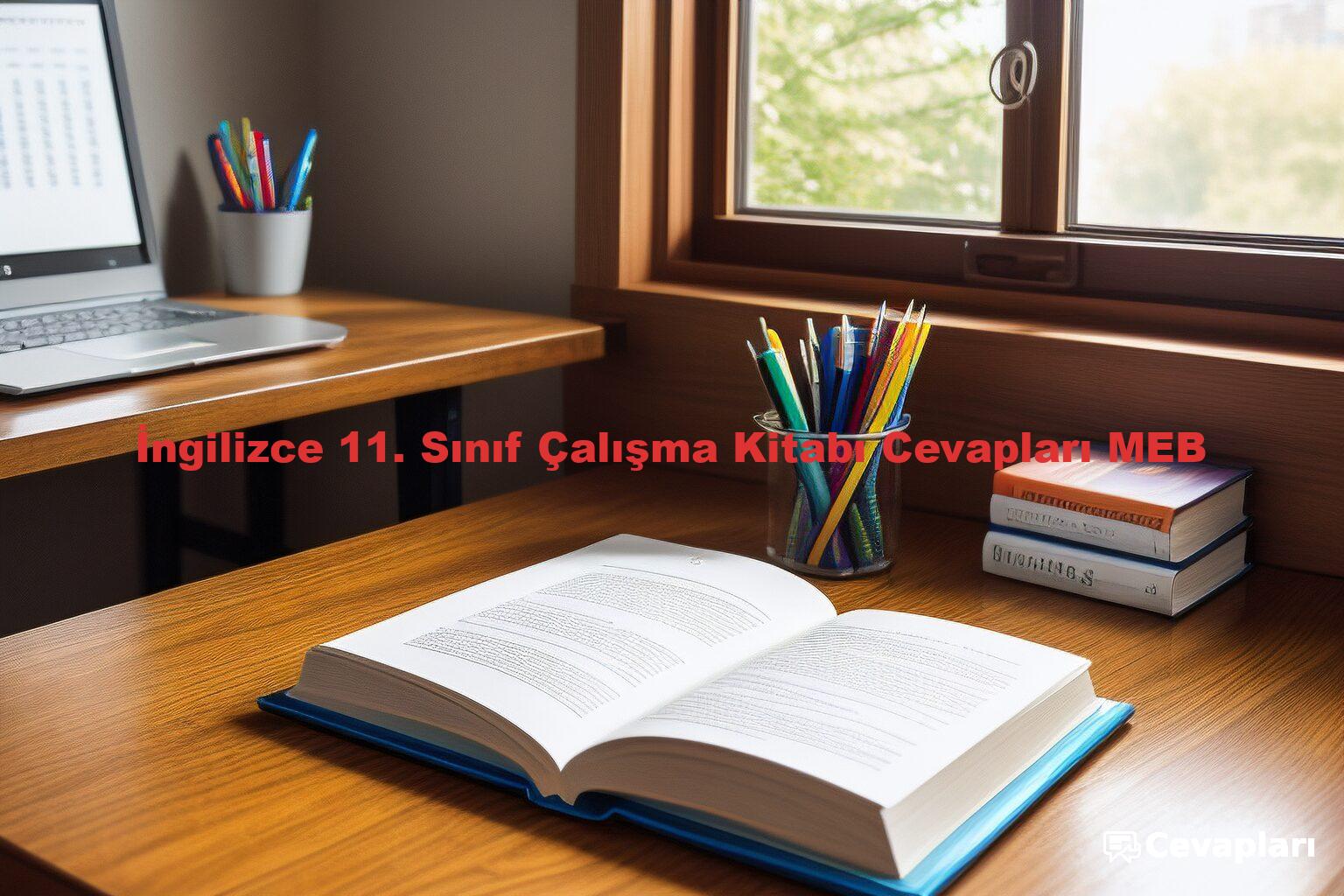 İngilizce 11. Sınıf Çalışma Kitabı Cevapları MEB