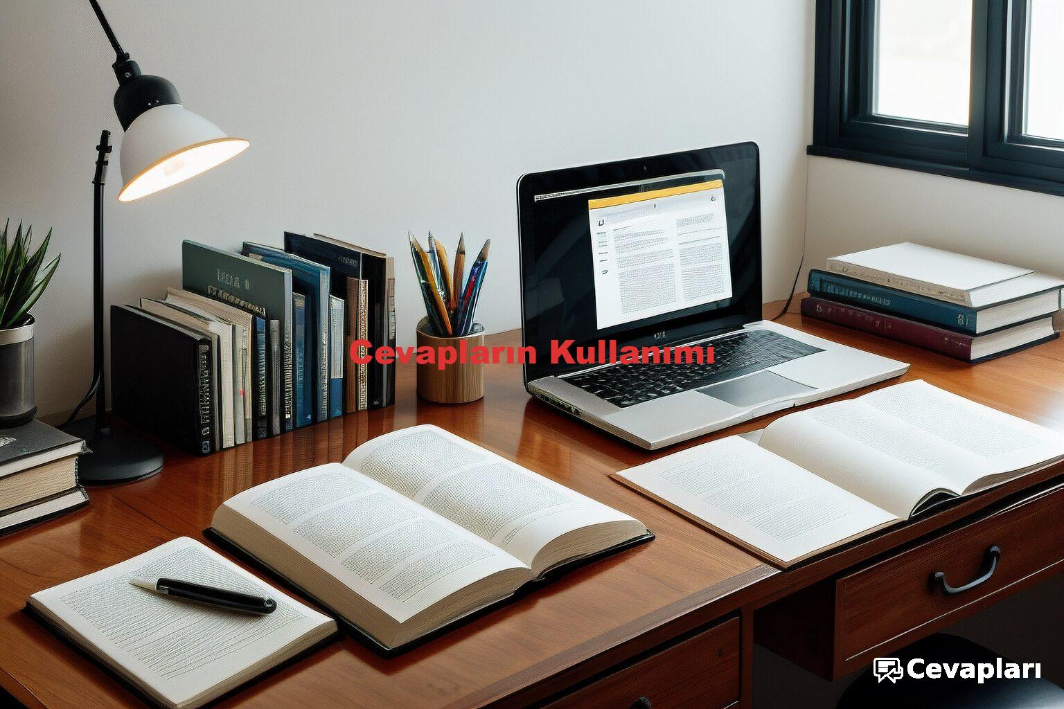 Cevapların Kullanımı