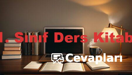 İngilizce 11. Sınıf Ders Kitabı Cevapları