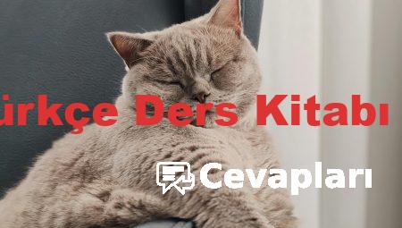 1. Sınıf Türkçe Ders Kitabı Cevapları