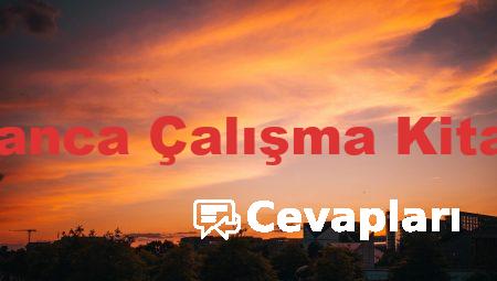 10 Sınıf Almanca Çalışma Kitabı Cevapları