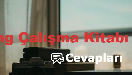 10 Sınıf İng Çalışma Kitabı Cevapları