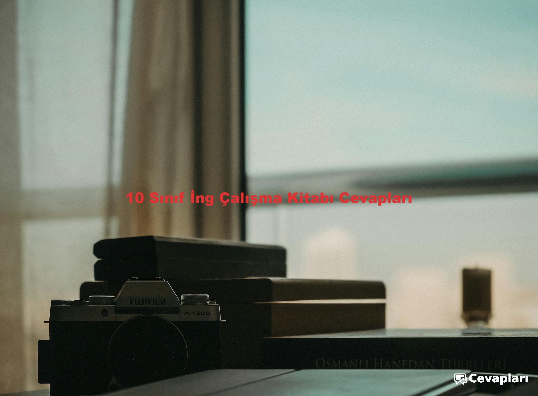 10 Sınıf İng Çalışma Kitabı Cevapları