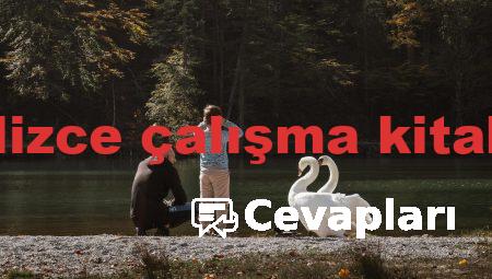10sınıf ingilizce çalışma kitabı cevapları