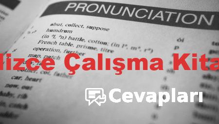 11 Sınıf İngilizce Çalışma Kitabı Cevapları