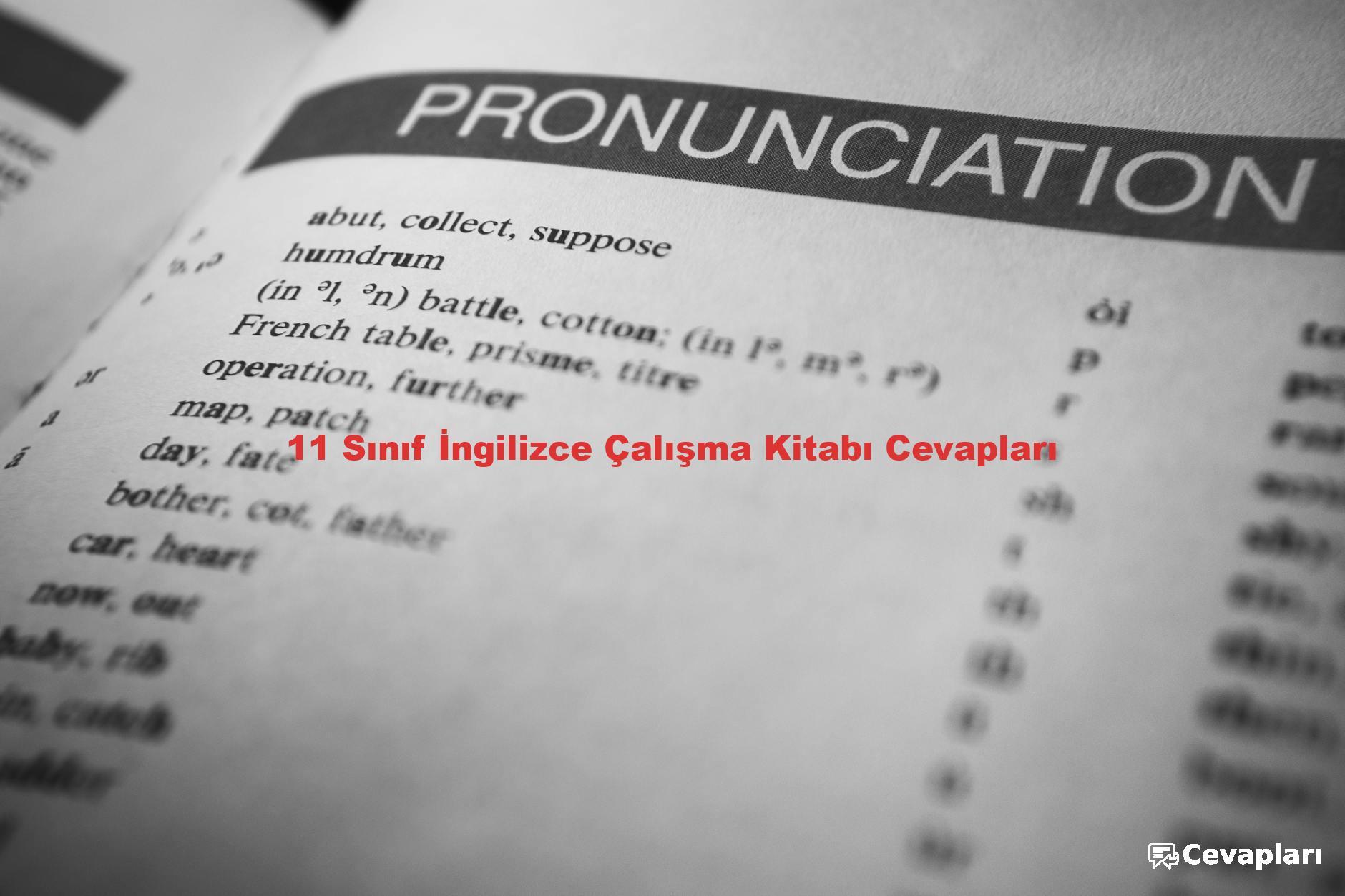 11 Sınıf İngilizce Çalışma Kitabı Cevapları