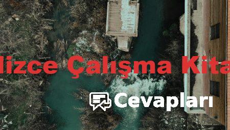 12 Sınıf İngilizce Çalışma Kitabı Cevapları