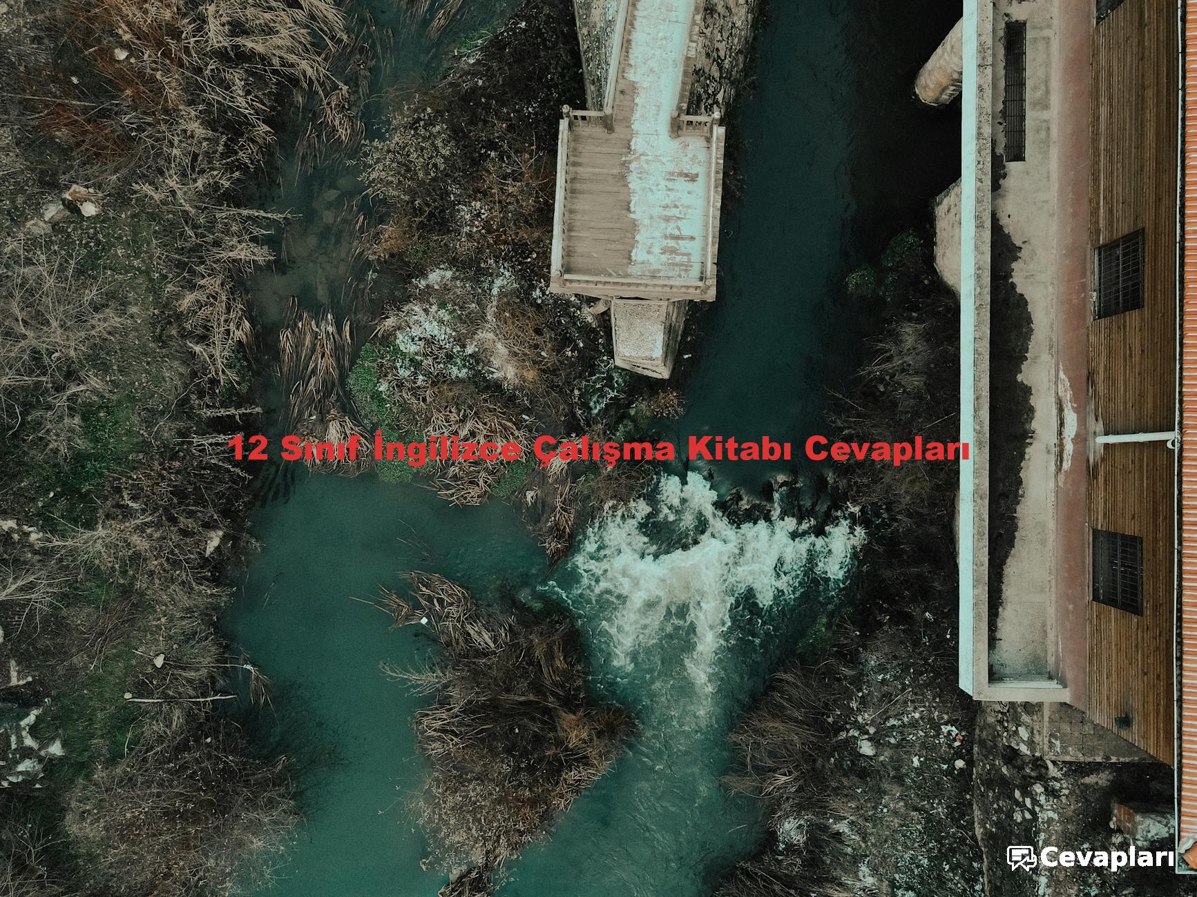 12 Sınıf İngilizce Çalışma Kitabı Cevapları