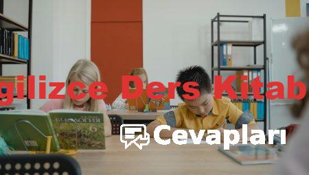 12 Sınıf İngilizce Ders Kitabı Cevapları