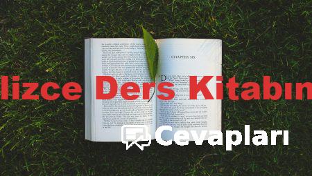 12 Sınıf İngilizce Ders Kitabının Cevapları