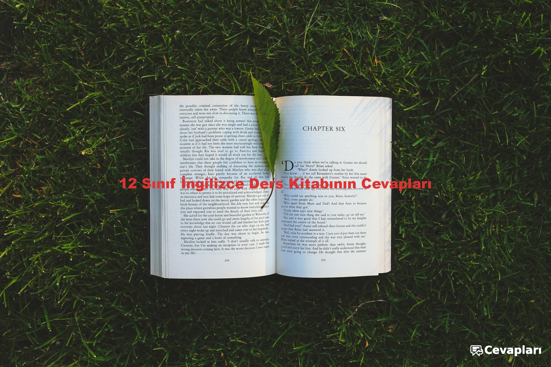 12 Sınıf İngilizce Ders Kitabının Cevapları