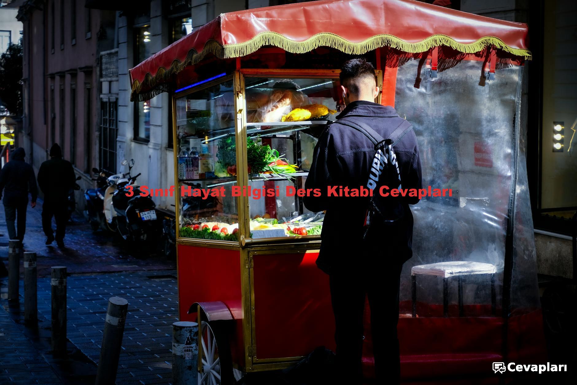 3 Sınıf Hayat Bilgisi Ders Kitabı Cevapları