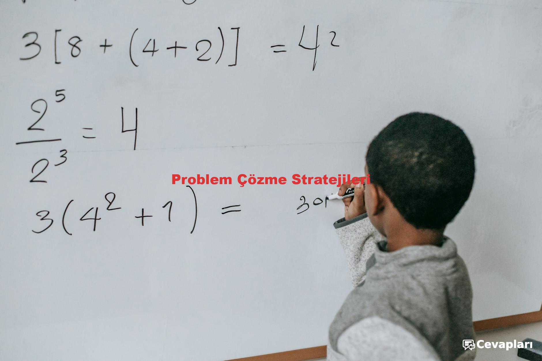 Problem Çözme Stratejileri