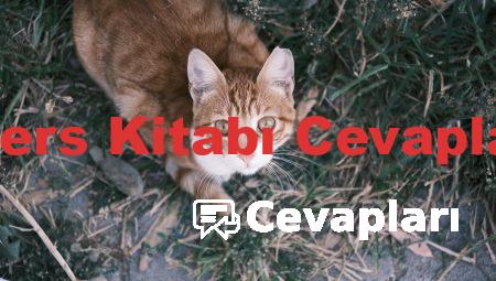 6. Sınıf Türkçe Ders Kitabı Cevapları Ata Yayıncılık