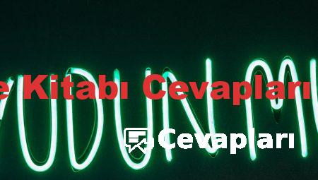 6. Sınıf Türkçe Kitabı Cevapları Ata Yayıncılık
