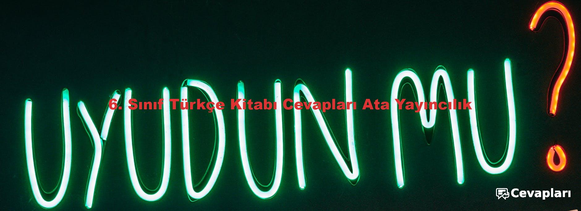 6. Sınıf Türkçe Kitabı Cevapları Ata Yayıncılık