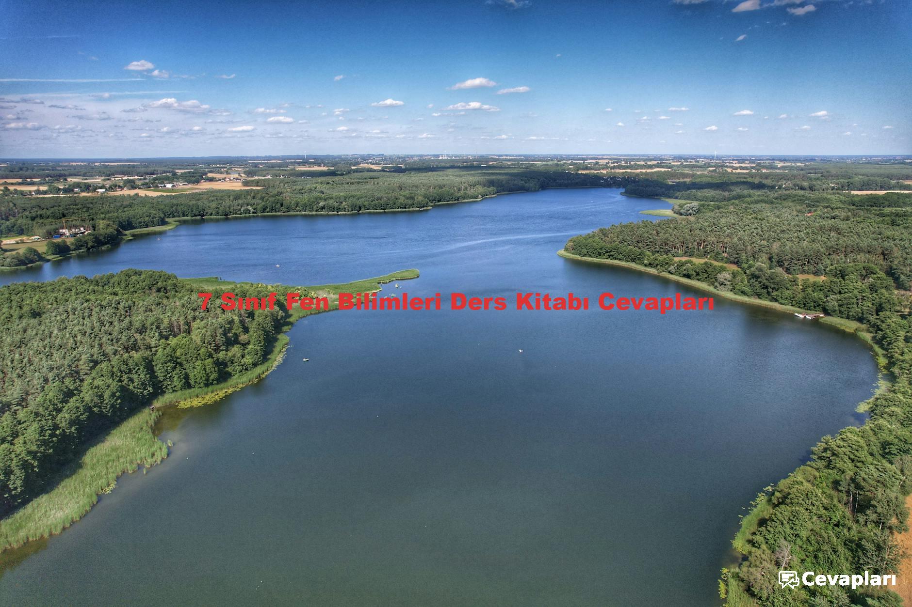 7 Sınıf Fen Bilimleri Ders Kitabı Cevapları