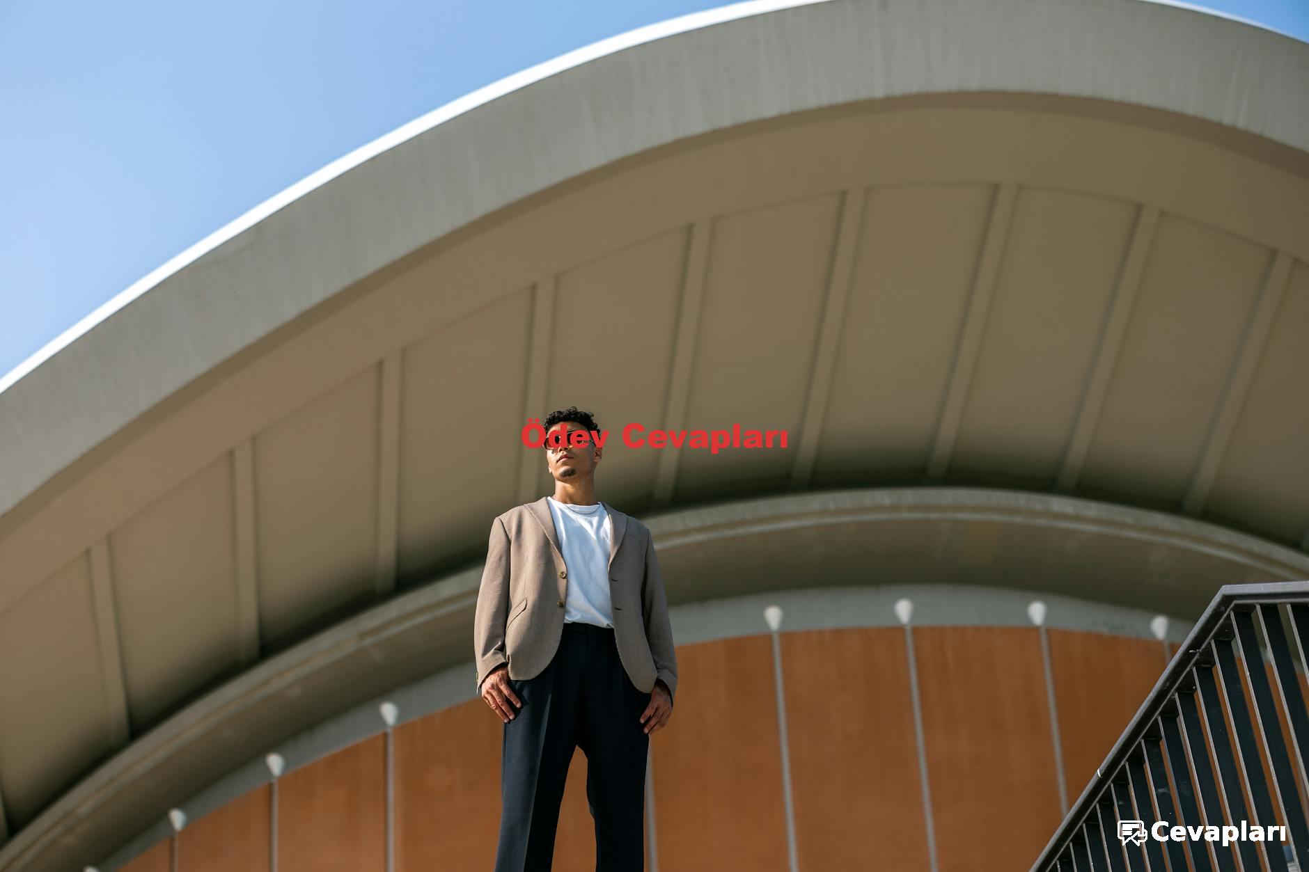 Ödev Cevapları
