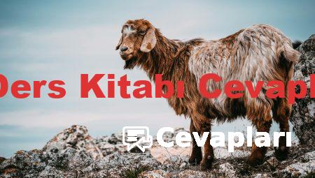 9 Sınıf Edebiyat Ders Kitabı Cevapları MEB Yayınları