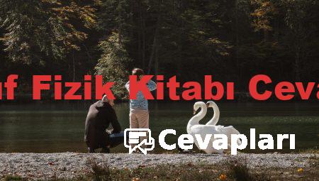 9 Sınıf Fizik Kitabı Cevapları
