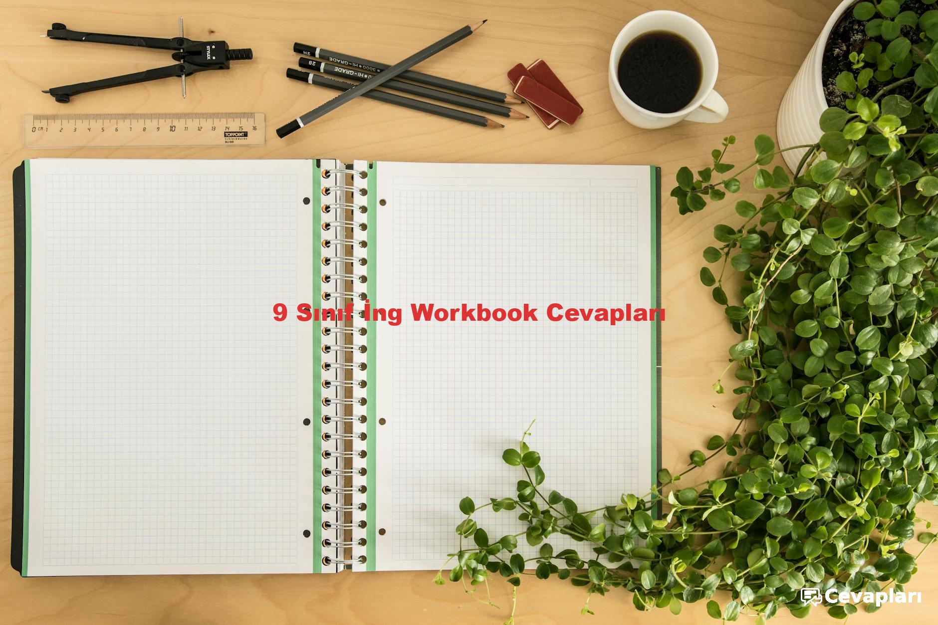 9 Sınıf İng Workbook Cevapları