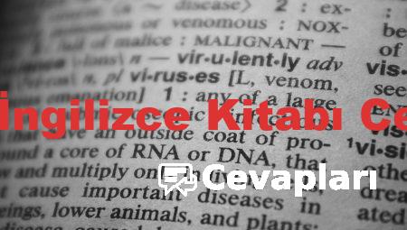 9 Sınıf İngilizce Kitabı Cevapları