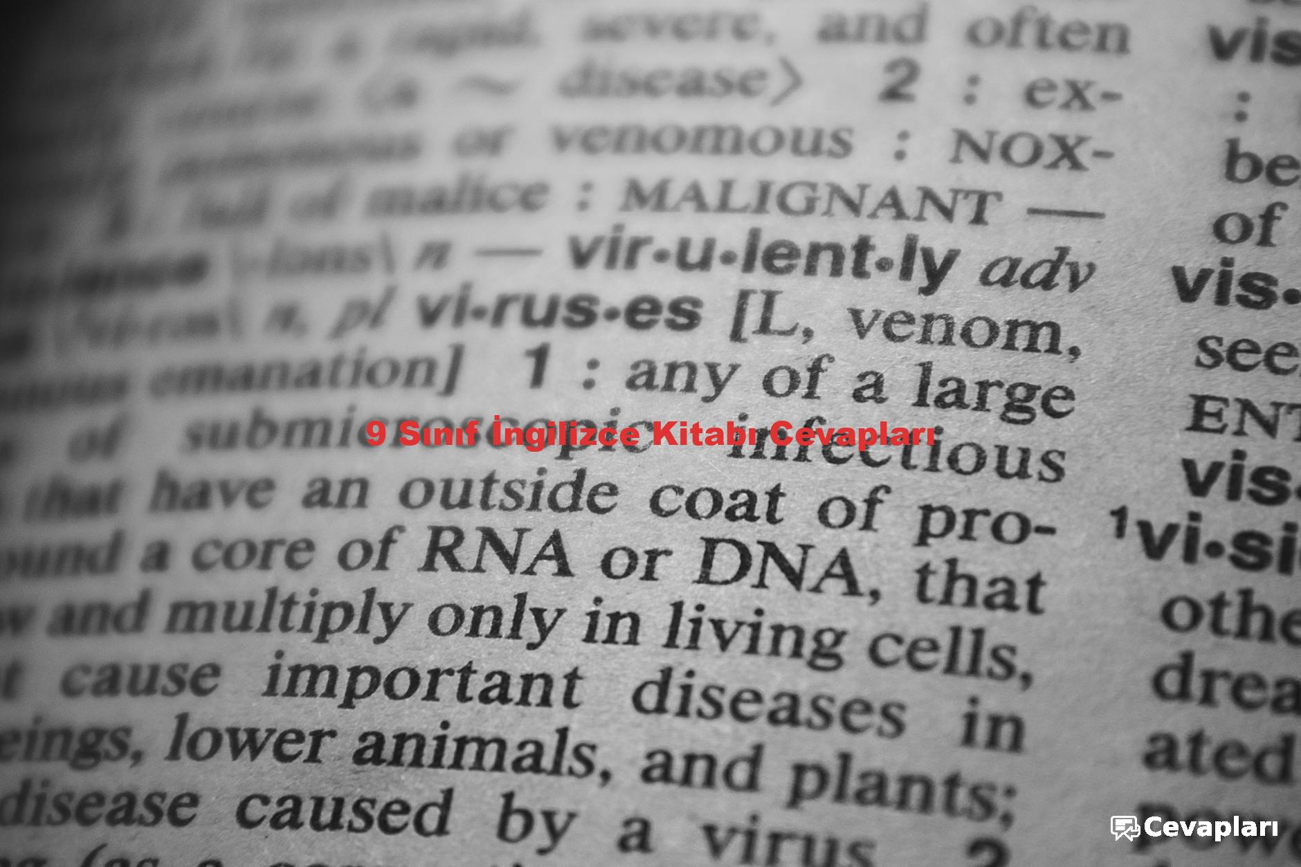 9 Sınıf İngilizce Kitabı Cevapları