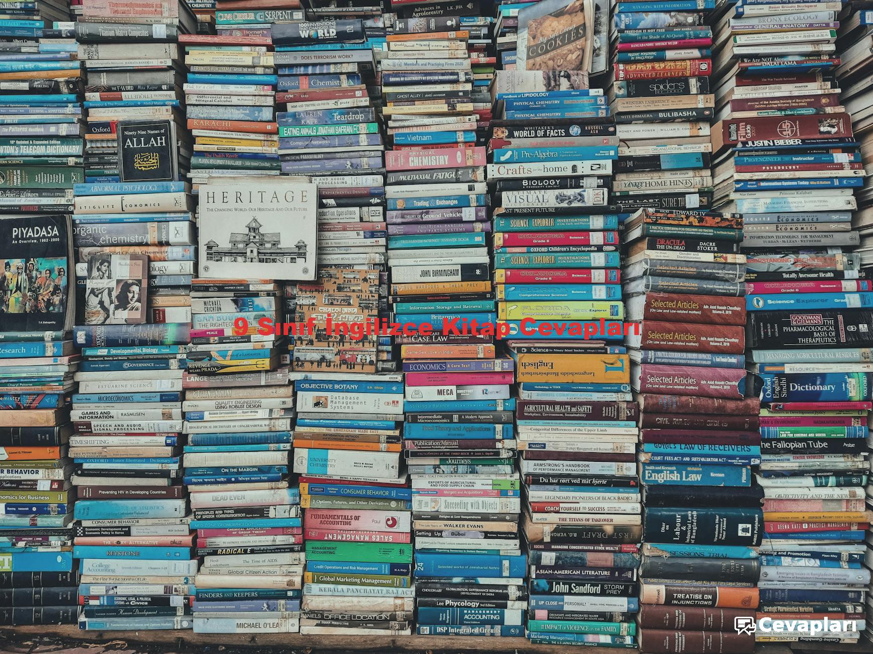 9 Sınıf İngilizce Kitap Cevapları