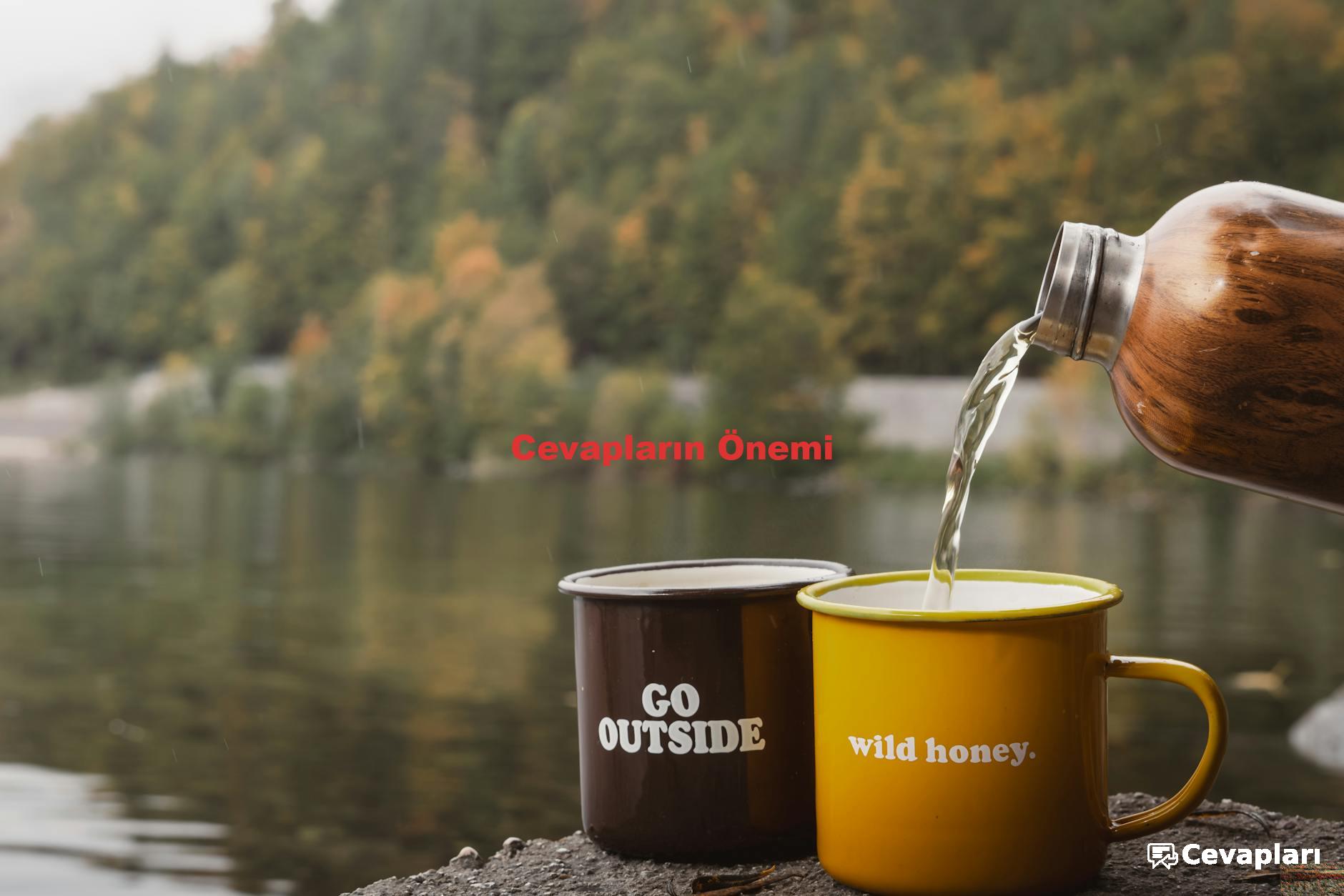 Cevapların Önemi
