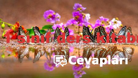 edebiyat 11 sınıf ders kitabı cevapları