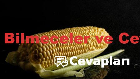 En Zor Bilmeceler ve Cevapları