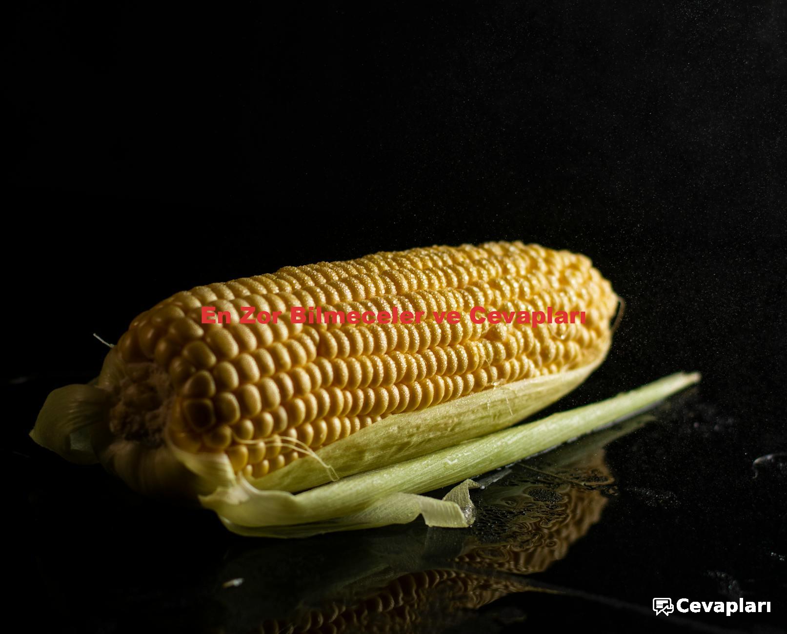 En Zor Bilmeceler ve Cevapları